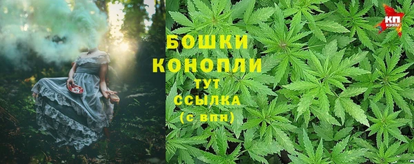 тгк Нея