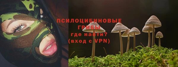 бошки Нефтегорск