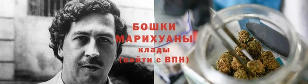 тгк Нея