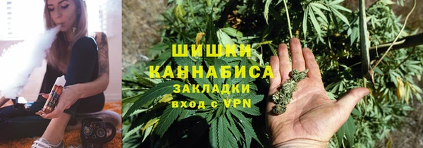 тгк Нея