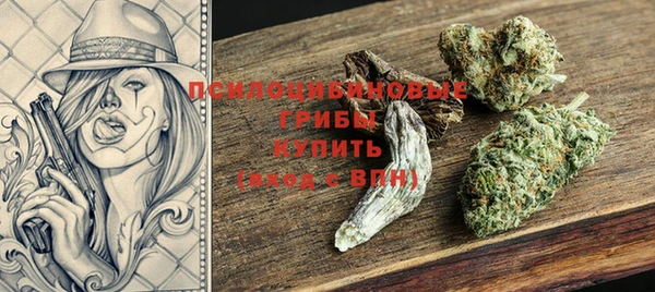 ГАЛЛЮЦИНОГЕННЫЕ ГРИБЫ Новодвинск