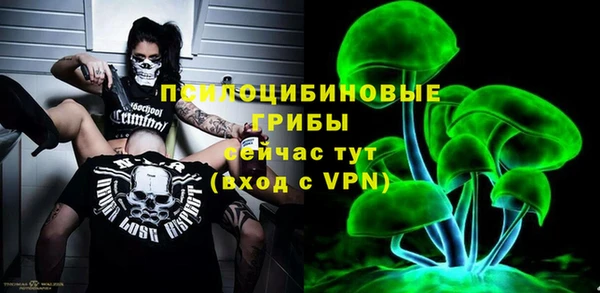 тгк Нея